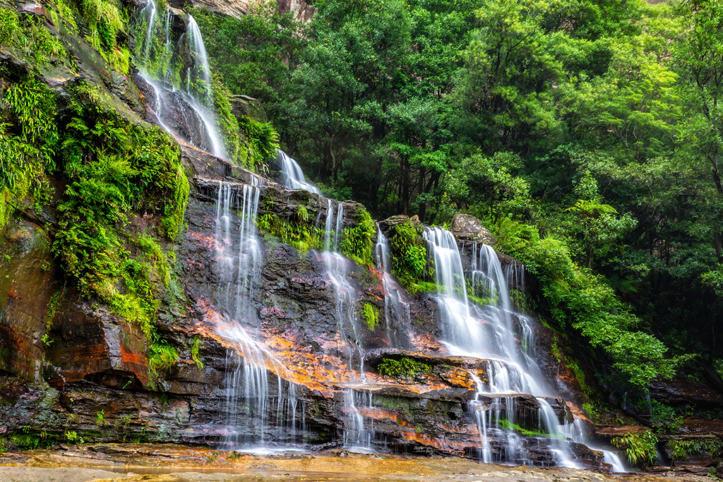 The mesmerizing Leura Falls, where water dances gracefully over moss-covered rocks, embraced by the lush beauty of the Blue Mountains. The Blue Mountains, Australia